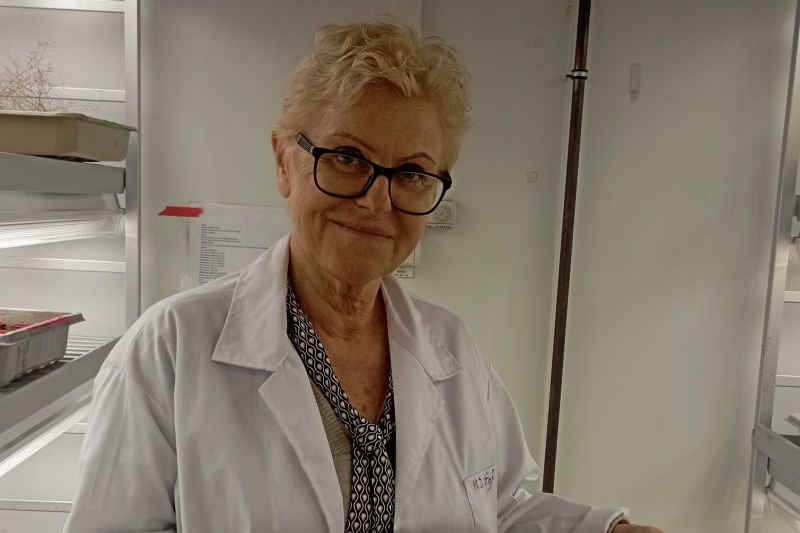 Prof. dr hab. Małgorzata Gaj | fot. Katarzyna Nowak