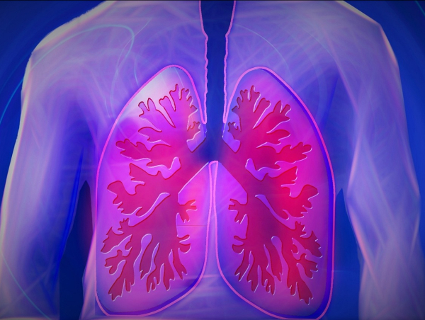 Ciało człowieka z zaznaczonymi płucami