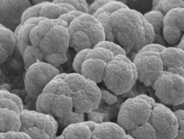 Cząstki pyłu z opon uzyskane w laboratorium, obserwowane w mikroskopie skaningowym Phenom XL