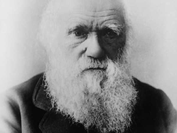 Fotografia Darwina z Wikimedia Commons