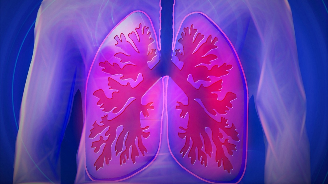 Ciało człowieka z zaznaczonymi płucami