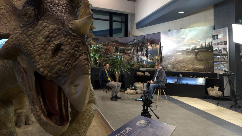 Na pierwszym planie po lewej głowa triceratopsa, w drugim planie dwóch mężczyzn siedzących naprzeciwko siebie. Fot. Ryszrad Tyl (Uniwersytet Śląski w Katowicach)