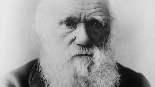 Fotografia Darwina z Wikimedia Commons